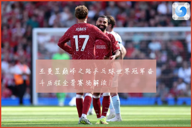 王曼昱巅峰之路乒乓球世界冠军奋斗历程全景赛场解读