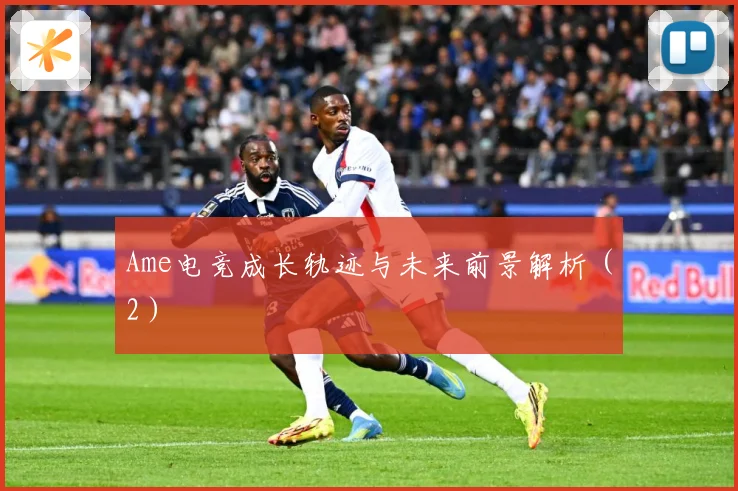 Ame电竞成长轨迹与未来前景解析（2）